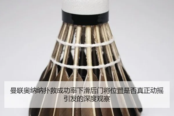 img_1781730099325_1916_1_435.jpg