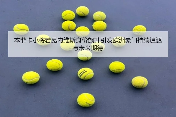 本菲卡小将若昂内维斯身价飙升引发欧洲豪门持续追逐与未来期待